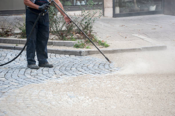 Best Roof Washing  in Kingsville, MD